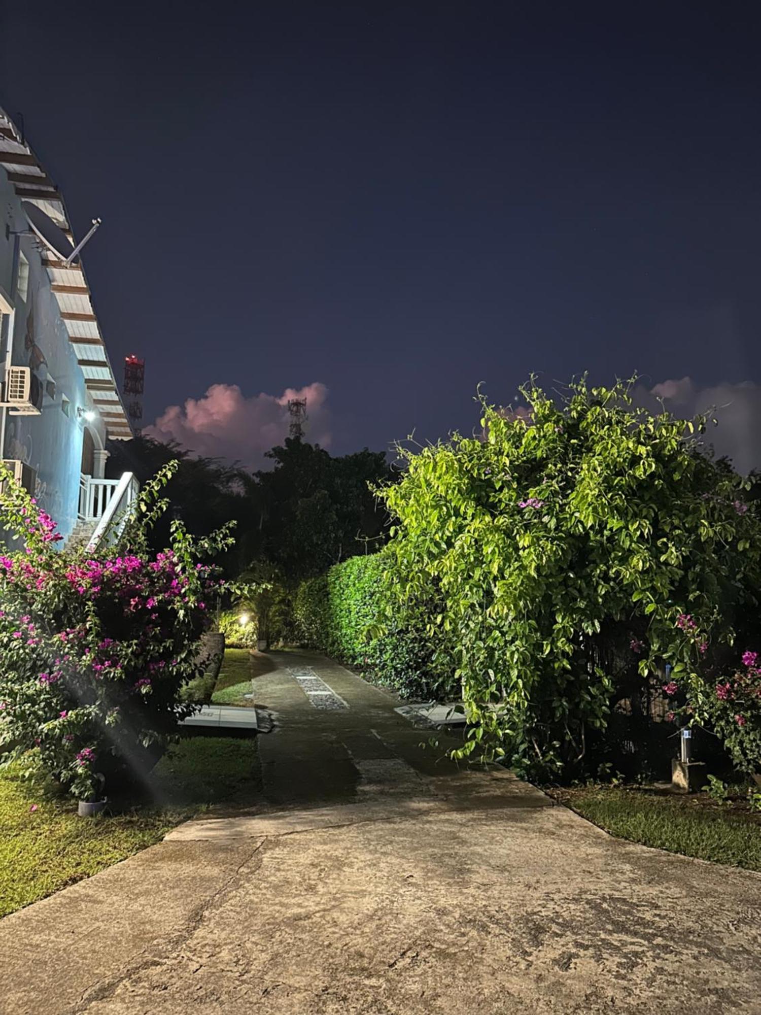 Appartement Coeur De Papillon Baie-Mahault Buitenkant foto