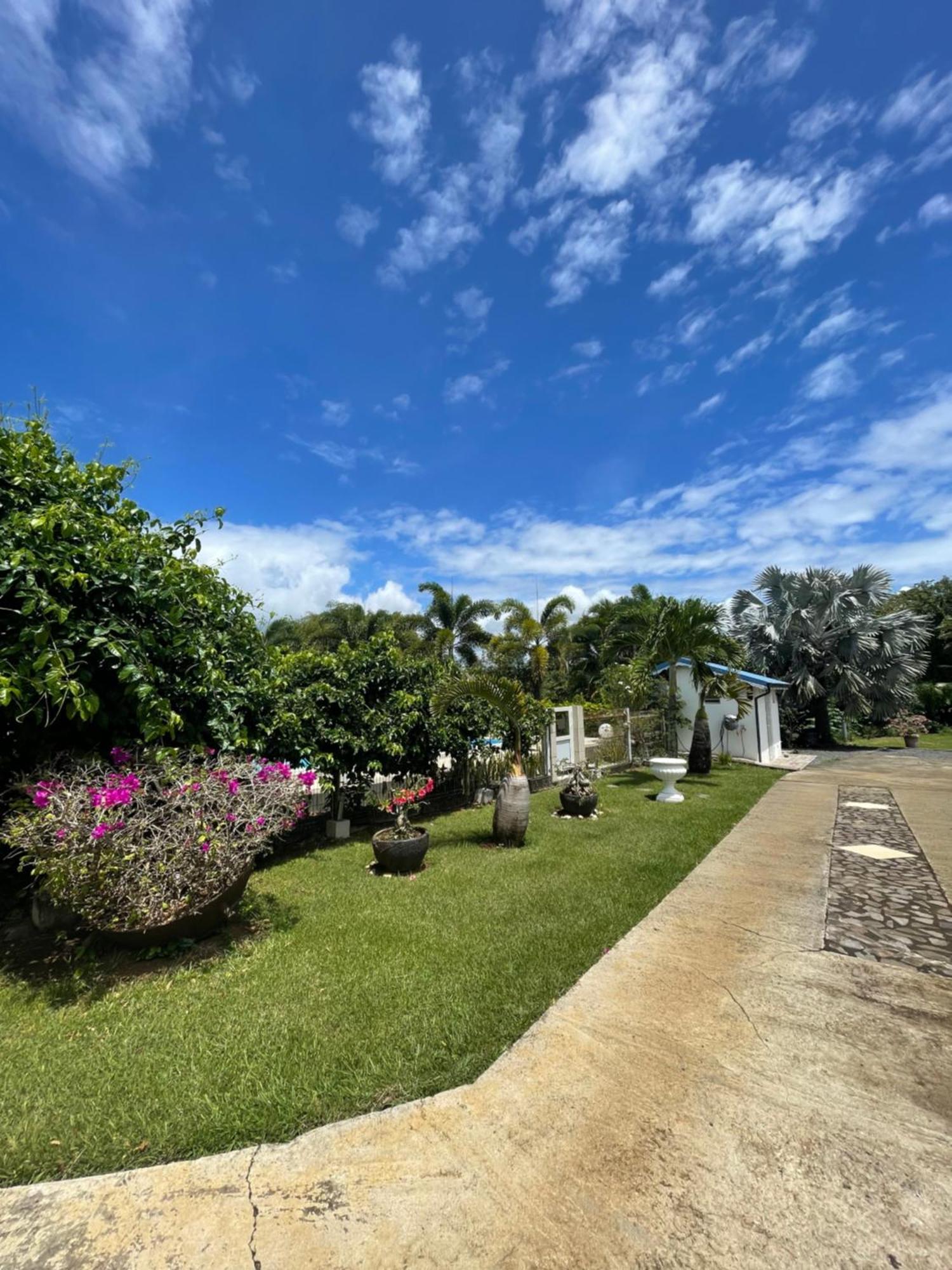 Appartement Coeur De Papillon Baie-Mahault Buitenkant foto