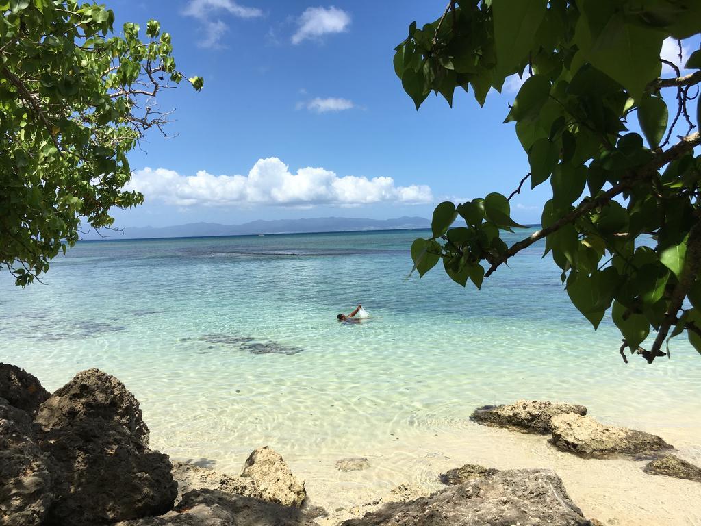 Appartement Coeur De Papillon Baie-Mahault Buitenkant foto